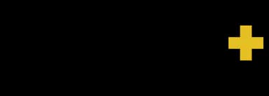 Youth+ Africa logo